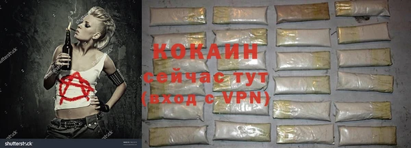 мдпв Майский