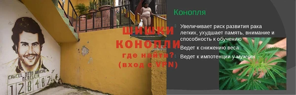 мдпв Майский