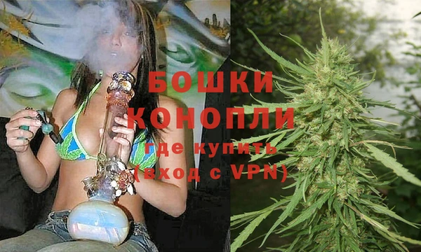 мдпв Майский