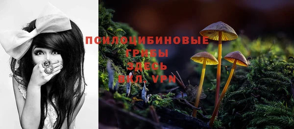 ешки Магадан
