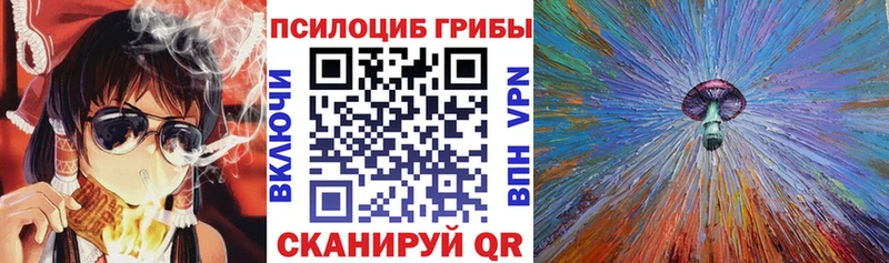 купить закладку  Холм  Псилоцибиновые грибы MAGIC MUSHROOMS 