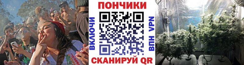 Бошки Шишки Bruce Banner  Холм 